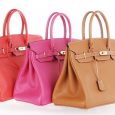 Birkin borsa