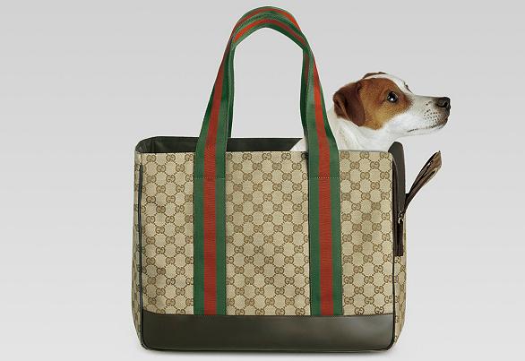 borsa cane